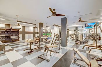 8000+ Sq.Ft. Fitness facility